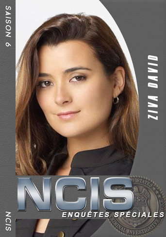 NCIS : Enquêtes Spéciales - S6 - Poster