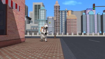 Berni T3E19