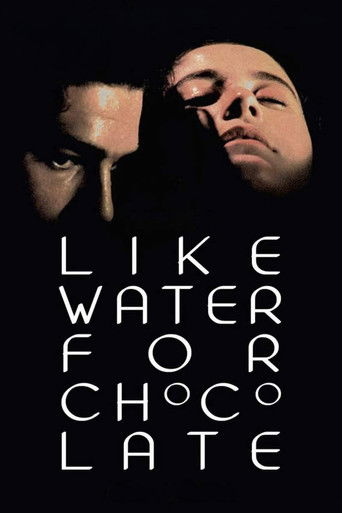 Like Water for Chocolate poster 4