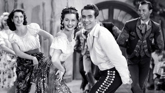 Fiesta media image