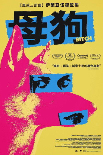 母狗