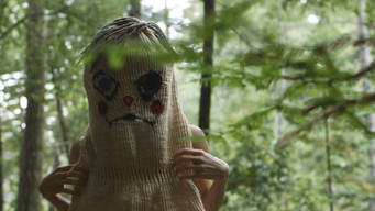 Felt media image