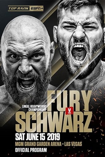 Poster of Fury vs. Schwarz