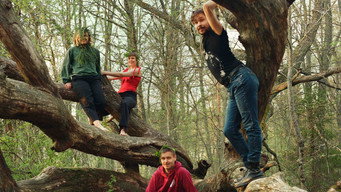 #9 Once Upon a Time in a Forest