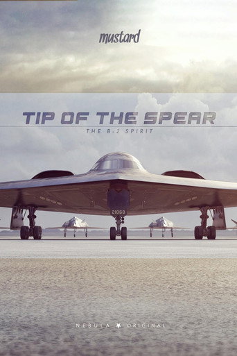 Tip of the Spear: The B-2 Spirit (2022年)のポスター画像 - FindKey