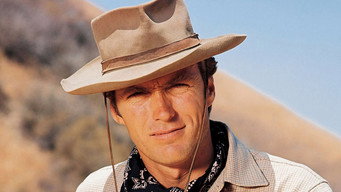 #11 Rawhide