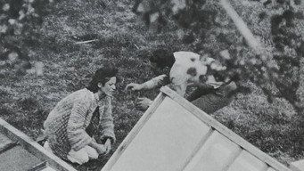 The Enclosure (1978)
