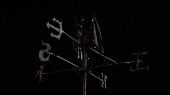 #6 Scarecrows