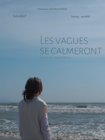 Póster de Les vagues se calmeront