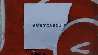 #10 Amor