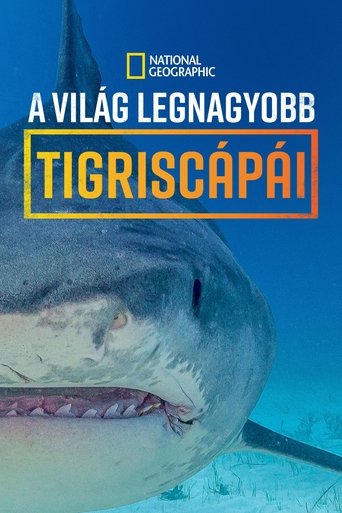 Supersized Sharks
