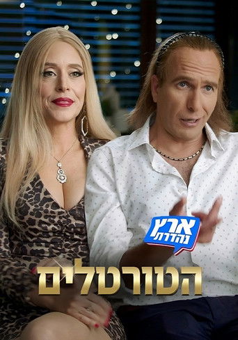 הטורטלים poster