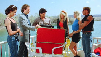 #9 Guns