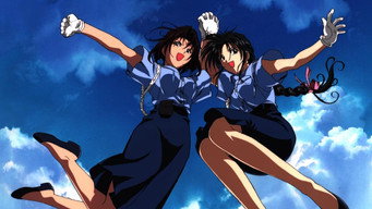 Вас заарештовано! (1994-1997)