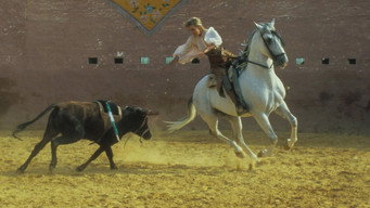 #20 Bolero