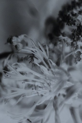 Senescent Vivarium poster