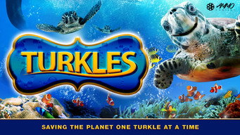 Turkles media image