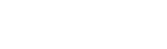 Boris logo