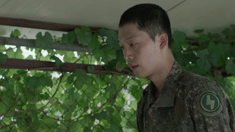 #6 The Seeds of Violence
