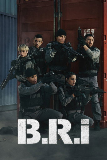 B.R.I — affiche alternative