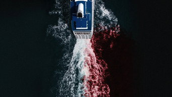 Cruise Ship Killers (2020-2021)