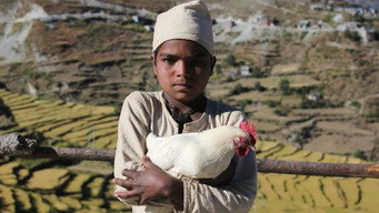 #10 The Black Hen