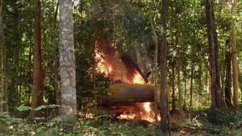 Assistir Operação Guerra Verde Online