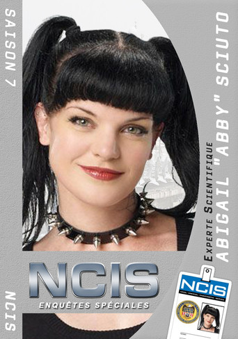 NCIS : Enquêtes Spéciales - S7 - Poster