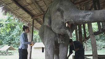 Episode 1 — Episode 1