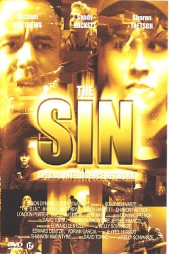 Poster of The S.I.N.