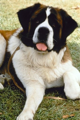 Image of Chris