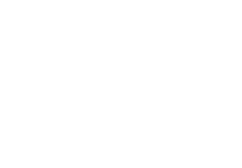 The White Princess logo