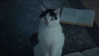 #34 Тихе місце: День перший