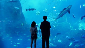 第10話：Episode 10