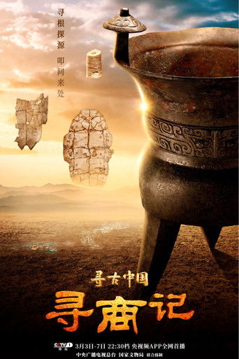寻古中国·寻商记 poster