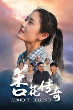 杏花传奇 poster