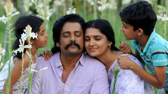 #11 Anjaamai