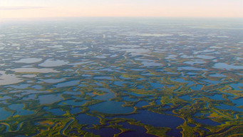 The Arctic: 66.5 Degrees North (2023)