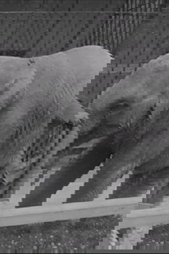 The Thirteenth Instant (1940) The Thirteenth Instant (1940)