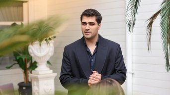 Episódio Episódio 27 da série O Canto do Pássaro