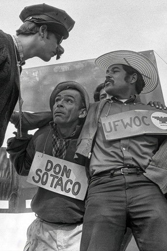 American Pachuco: The Legend of Luis Valdez (2026)