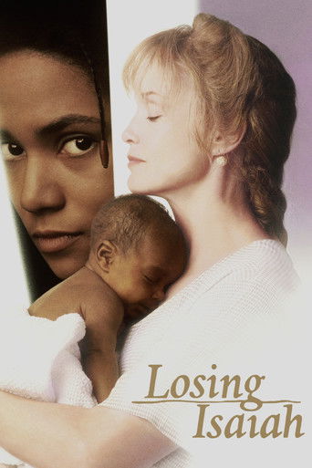 Losing Isaiah poster 8