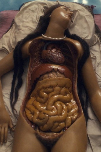Affiche du film Four Unloved Women, Adrift on a Purposeless Sea, Experience the Ecstasy of Dissection