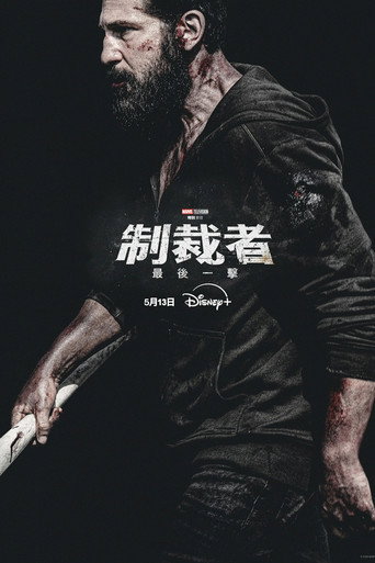 惩罚者：最后一击