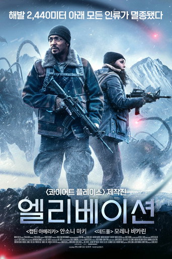 엘리베이션