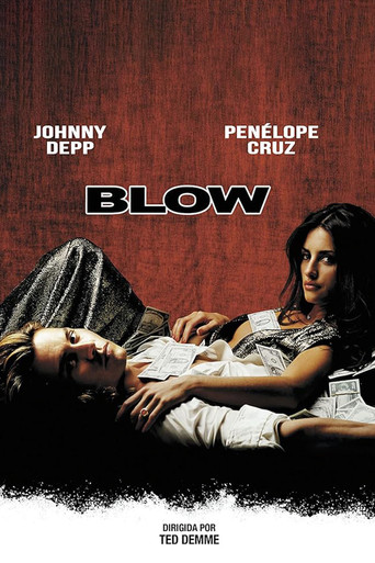Poster de Blow