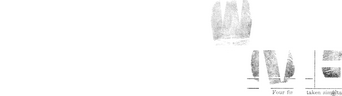 Shadow Detective logo