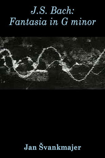 J.S. Bach: Fantasia in G minor