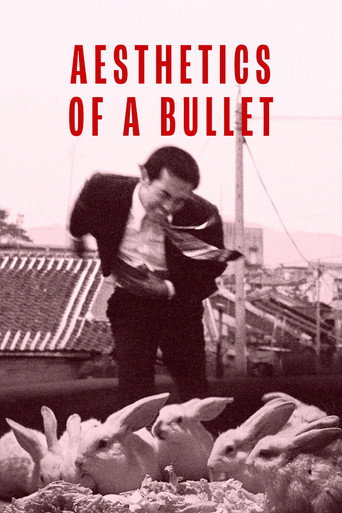 Aesthetics of a Bullet