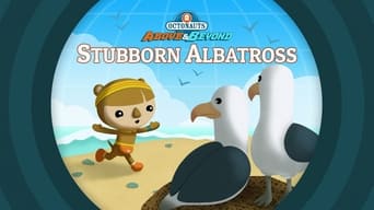 Stubborn Albatross